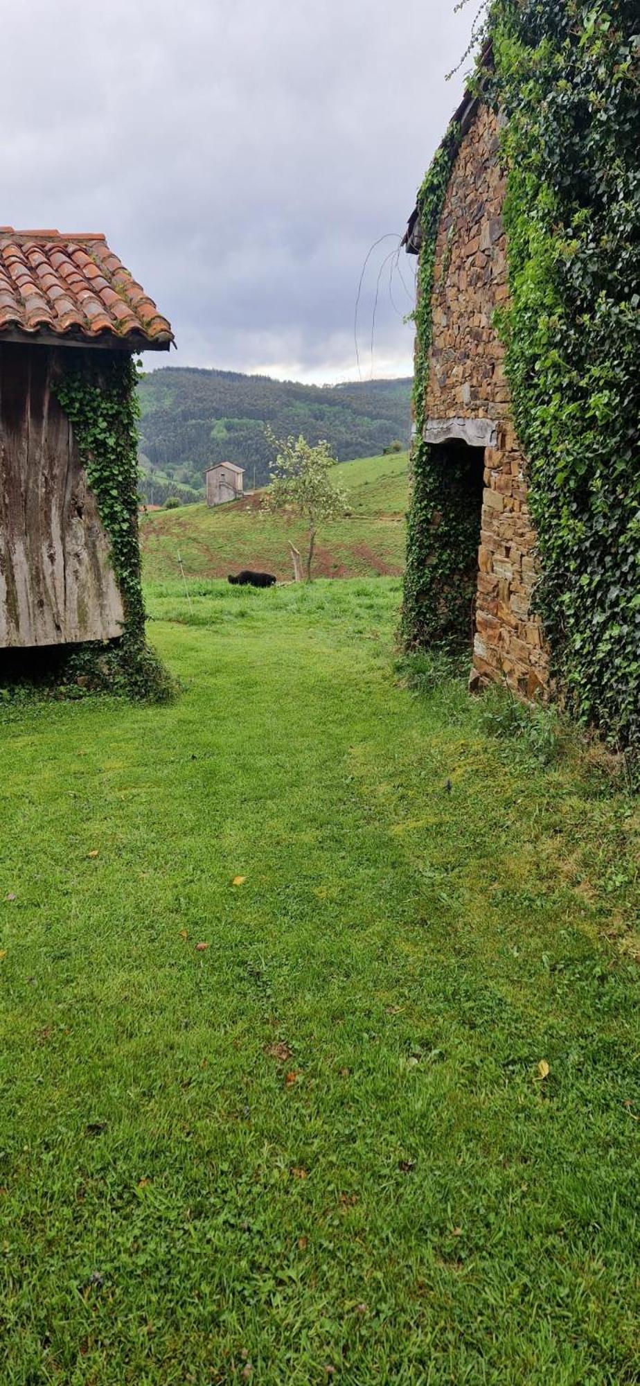 La Casona De Faedo Pension Hotel Kültér fotó