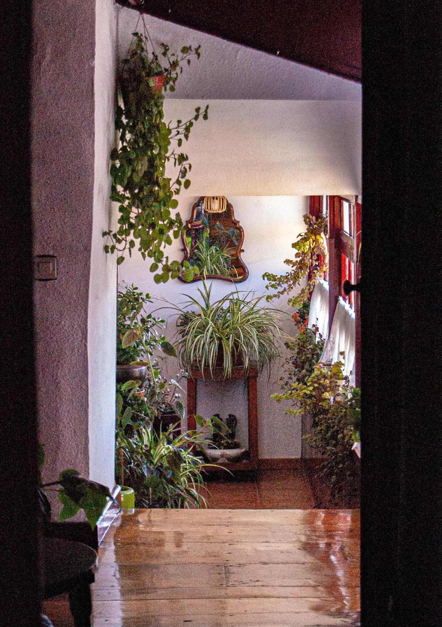 La Casona De Faedo Pension Hotel Kültér fotó